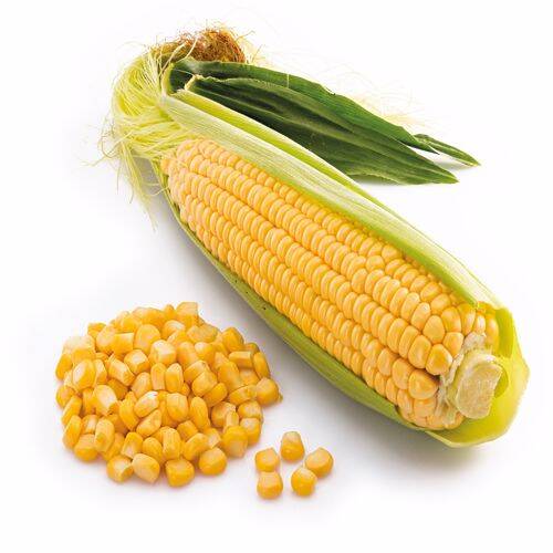 Fine Food Dondurulmuş Tane Mısır 2,5 kg